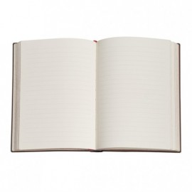 Paperblanks notebook, Balloon festival, Pierre the Maze Detective Ultra Lined
