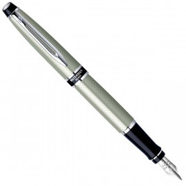 WATERMAN EXPERT CITY LINE SILVER CT FOUNTAIN PEN S0725880