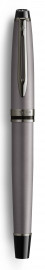 Waterman Expert Metallic Silver Lacquer Fountain Pen (Special Edition)