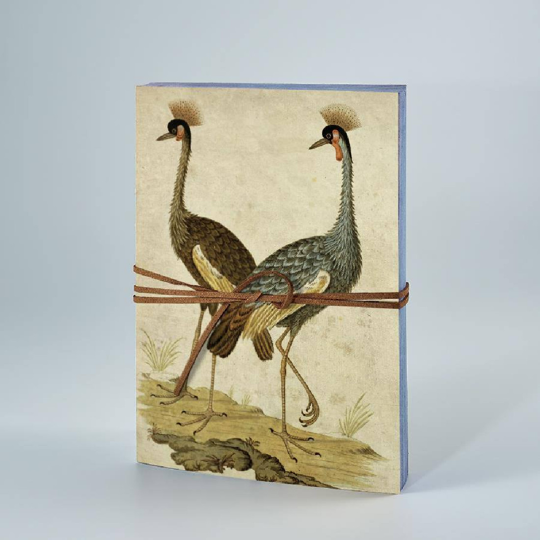 ANTIQUE NOTEBOOK - CANVAS BOOK Birds LIBRI MUTI