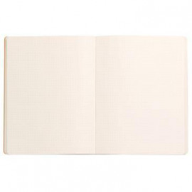 Rhodia Soft cover notebook 19 x 25 cm dotted 117551 silver